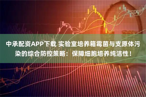 中承配资APP下载 实验室培养箱霉菌与支原体污染的综合防控策略:保障细胞培养纯洁性!