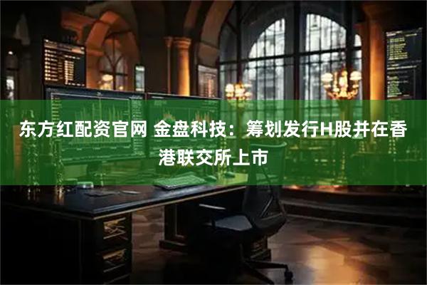东方红配资官网 金盘科技：筹划发行H股并在香港联交所上市